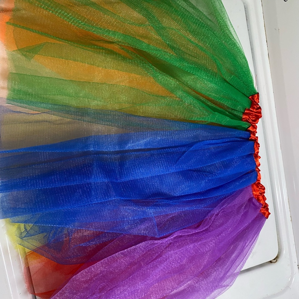 Colorful Tulle Skirt